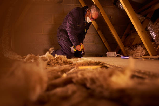 Types of Insulation We Offer in Arcadia, WI